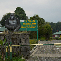 Photo de Rwanda - Parc national des volcans